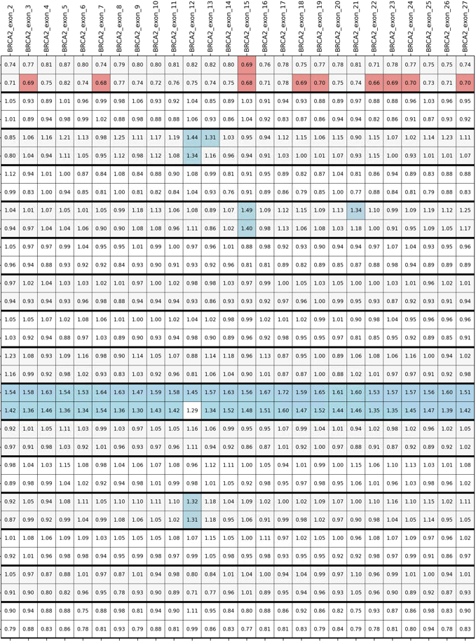 Example heatmap visualization from the CNV Heatmap Generator